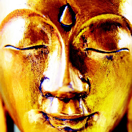 Daserwachte Bewusstsein