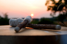 Schamische Trommel Symbol der School