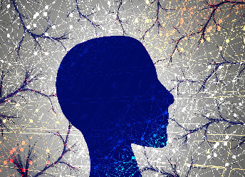 Symbol für Nervensystem Symbol für Nervensystem